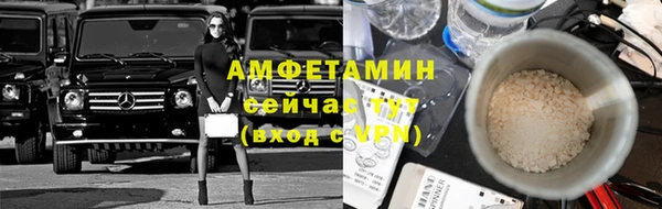 ПСИЛОЦИБИНОВЫЕ ГРИБЫ Алзамай