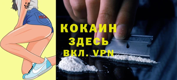 винт Абаза